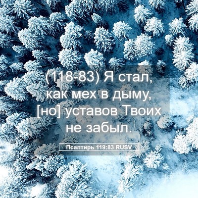Picture 05 - Псалтирь 119:83 RUSV - (118-83) Я стал, как мех в дыму, - Bible Verse Picture