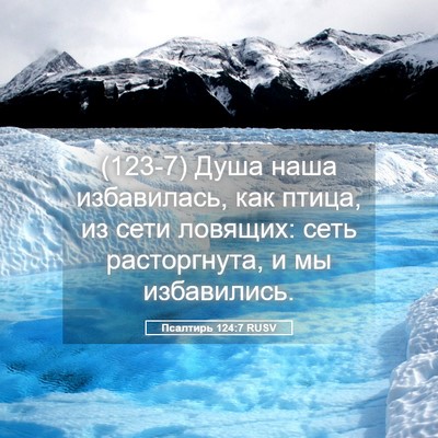 Picture 05 - Псалтирь 124:7 RUSV - (123-7) Душа наша избавилась, - Bible Verse Picture