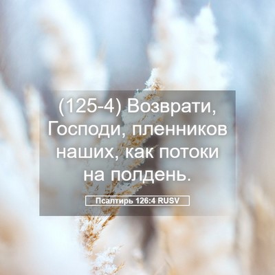 Picture 05 - Псалтирь 126:4 RUSV - (125-4) Возврати, Господи, - Bible Verse Picture