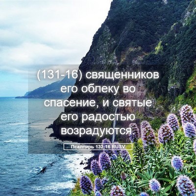 Picture 05 - Псалтирь 132:16 RUSV - (131-16) священников его - Bible Verse Picture