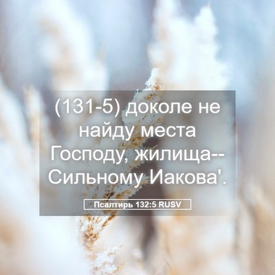 Picture 05 - Псалтирь 132:5 RUSV - (131-5) доколе не найду места - Bible Verse Picture
