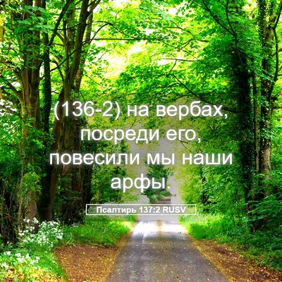 Picture 05 - Псалтирь 137:2 RUSV - (136-2) на вербах, посреди его, - Bible Verse Picture