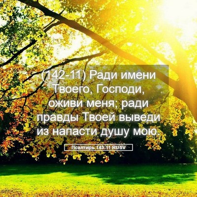 Picture 05 - Псалтирь 143:11 RUSV - (142-11) Ради имени Твоего, - Bible Verse Picture