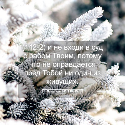 Picture 05 - Псалтирь 143:2 RUSV - (142-2) и не входи в суд с - Bible Verse Picture