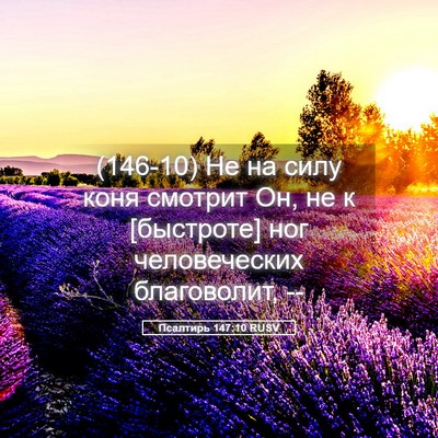 Picture 05 - Псалтирь 147:10 RUSV - (146-10) Не на силу коня - Bible Verse Picture