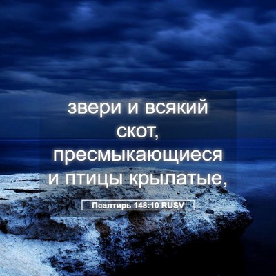 Picture 05 - Псалтирь 148:10 RUSV - звери и всякий скот, - Bible Verse Picture