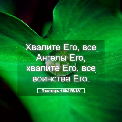 Picture 05 - Псалтирь 148:2 RUSV - Хвалите Его, все Ангелы - Bible Verse Picture