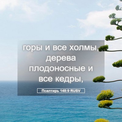 Picture 05 - Псалтирь 148:9 RUSV - горы и все холмы, дерева - Bible Verse Picture