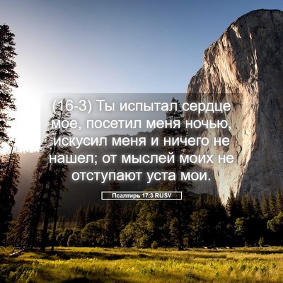 Picture 05 - Псалтирь 17:3 RUSV - (16-3) Ты испытал сердце мое, - Bible Verse Picture