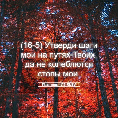Picture 05 - Псалтирь 17:5 RUSV - (16-5) Утверди шаги мои на - Bible Verse Picture