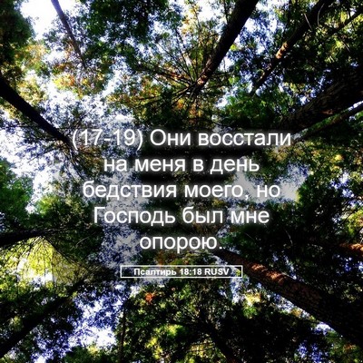 Picture 05 - Псалтирь 18:18 RUSV - (17-19) Они восстали на меня в - Bible Verse Picture