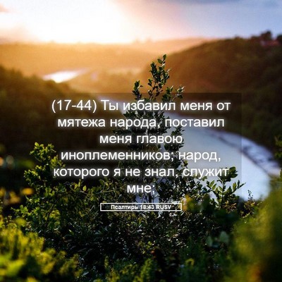 Picture 05 - Псалтирь 18:43 RUSV - (17-44) Ты избавил меня от - Bible Verse Picture