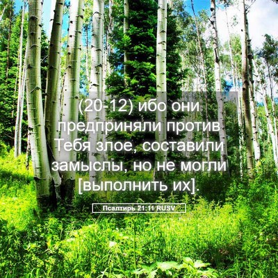 Picture 05 - Псалтирь 21:11 RUSV - (20-12) ибо они предприняли - Bible Verse Picture