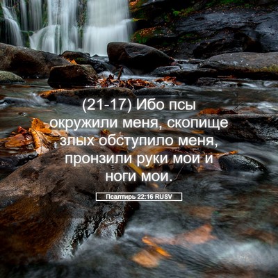 Picture 05 - Псалтирь 22:16 RUSV - (21-17) Ибо псы окружили меня, - Bible Verse Picture