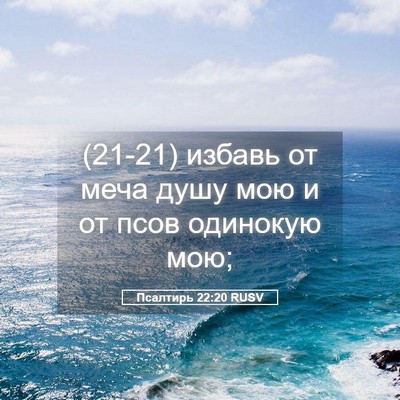 Picture 05 - Псалтирь 22:20 RUSV - (21-21) избавь от меча душу - Bible Verse Picture