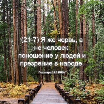 Picture 05 - Псалтирь 22:6 RUSV - (21-7) Я же червь, а не - Bible Verse Picture