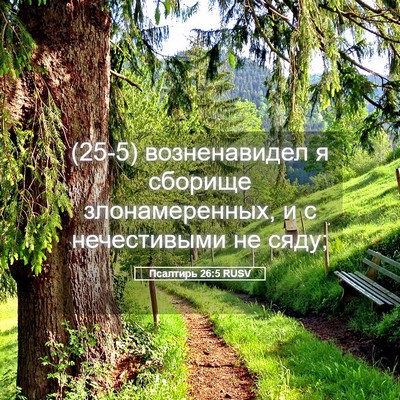 Picture 05 - Псалтирь 26:5 RUSV - (25-5) возненавидел я сборище - Bible Verse Picture