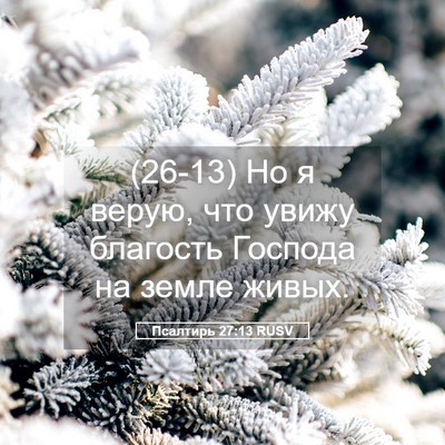 Picture 05 - Псалтирь 27:13 RUSV - (26-13) Но я верую, что увижу - Bible Verse Picture