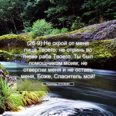 Picture 05 - Псалтирь 27:9 RUSV - (26-9) Не скрой от меня лица - Bible Verse Picture