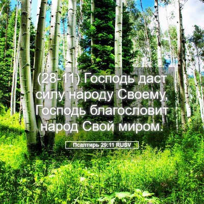 Picture 05 - Псалтирь 29:11 RUSV - (28-11) Господь даст силу - Bible Verse Picture