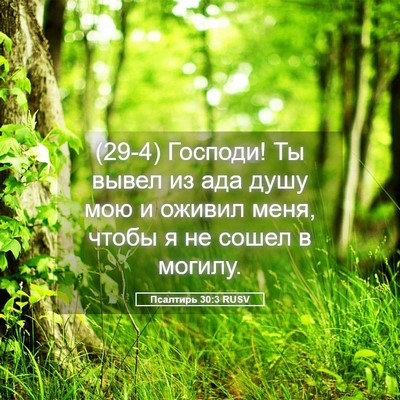 Picture 05 - Псалтирь 30:3 RUSV - (29-4) Господи! Ты вывел из - Bible Verse Picture