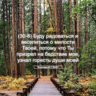 Picture 05 - Псалтирь 31:7 RUSV - (30-8) Буду радоваться и - Bible Verse Picture