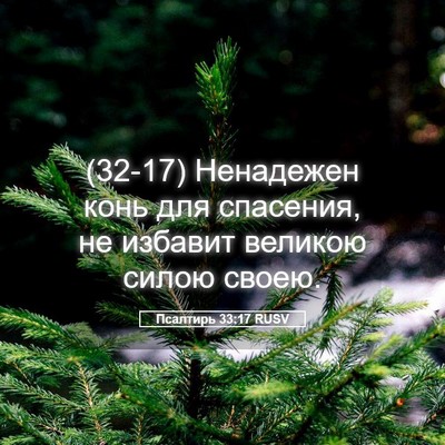 Picture 05 - Псалтирь 33:17 RUSV - (32-17) Ненадежен конь для - Bible Verse Picture