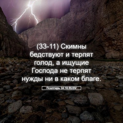 Picture 05 - Псалтирь 34:10 RUSV - (33-11) Скимны бедствуют и - Bible Verse Picture