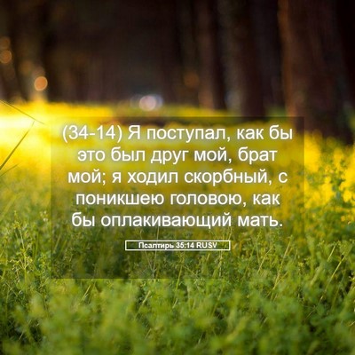 Picture 05 - Псалтирь 35:14 RUSV - (34-14) Я поступал, как бы это - Bible Verse Picture