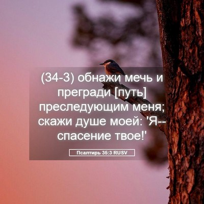 Picture 05 - Псалтирь 35:3 RUSV - (34-3) обнажи мечь и прегради - Bible Verse Picture