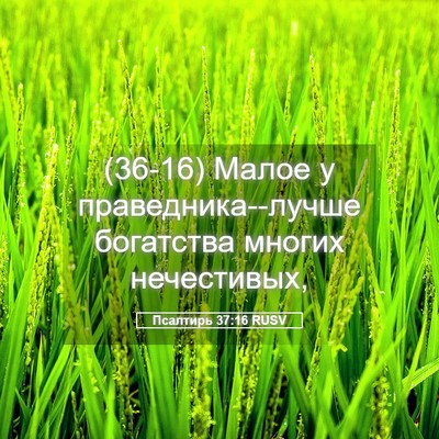 Picture 05 - Псалтирь 37:16 RUSV - (36-16) Малое у - Bible Verse Picture