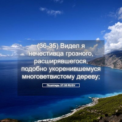 Picture 05 - Псалтирь 37:35 RUSV - (36-35) Видел я нечестивца - Bible Verse Picture