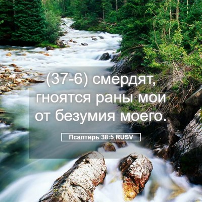 Picture 05 - Псалтирь 38:5 RUSV - (37-6) смердят, гноятся раны - Bible Verse Picture