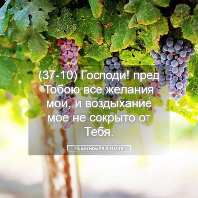 Picture 05 - Псалтирь 38:9 RUSV - (37-10) Господи! пред Тобою - Bible Verse Picture
