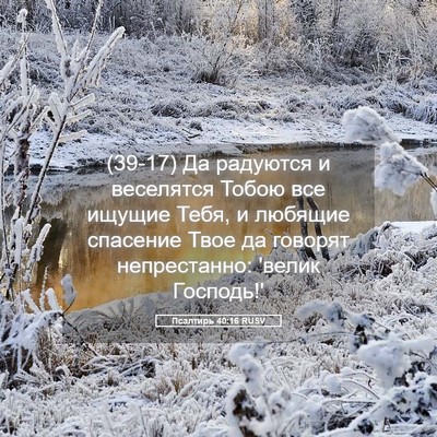 Picture 05 - Псалтирь 40:16 RUSV - (39-17) Да радуются и - Bible Verse Picture