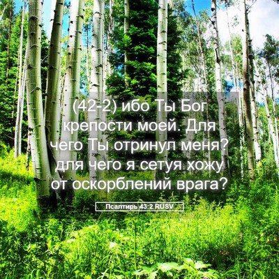 Picture 05 - Псалтирь 43:2 RUSV - (42-2) ибо Ты Бог крепости - Bible Verse Picture