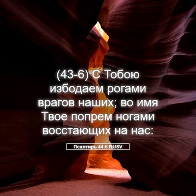 Picture 05 - Псалтирь 44:5 RUSV - (43-6) С Тобою избодаем - Bible Verse Picture