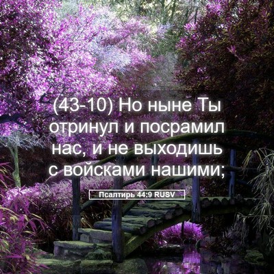 Picture 05 - Псалтирь 44:9 RUSV - (43-10) Но ныне Ты отринул и - Bible Verse Picture