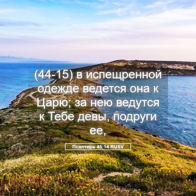 Picture 05 - Псалтирь 45:14 RUSV - (44-15) в испещренной одежде - Bible Verse Picture