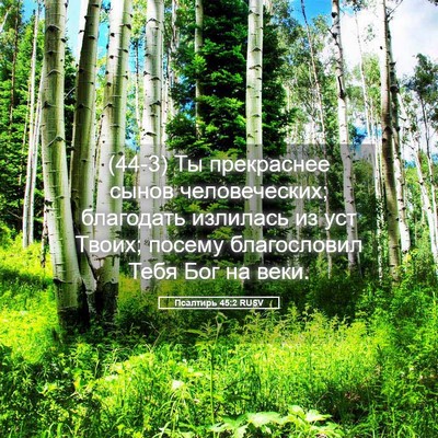 Picture 05 - Псалтирь 45:2 RUSV - (44-3) Ты прекраснее сынов - Bible Verse Picture