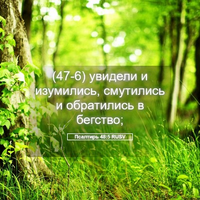 Picture 05 - Псалтирь 48:5 RUSV - (47-6) увидели и изумились, - Bible Verse Picture