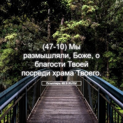 Picture 05 - Псалтирь 48:9 RUSV - (47-10) Мы размышляли, Боже, о - Bible Verse Picture