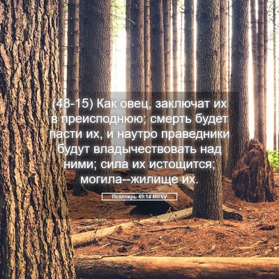 Picture 05 - Псалтирь 49:14 RUSV - (48-15) Как овец, заключат их в - Bible Verse Picture