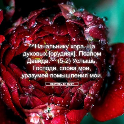Picture 05 - Псалтирь 5:1 RUSV - ^^Начальнику хора. На - Bible Verse Picture