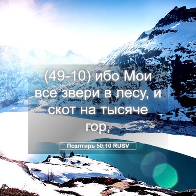 Picture 05 - Псалтирь 50:10 RUSV - (49-10) ибо Мои все звери в - Bible Verse Picture