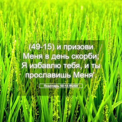 Picture 05 - Псалтирь 50:15 RUSV - (49-15) и призови Меня в день - Bible Verse Picture