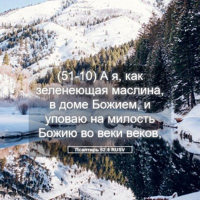 Picture 05 - Псалтирь 52:8 RUSV - (51-10) А я, как зеленеющая - Bible Verse Picture