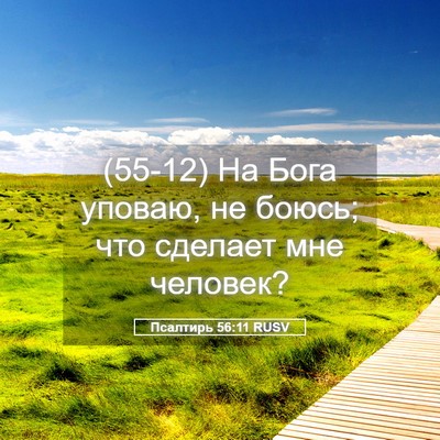 Picture 05 - Псалтирь 56:11 RUSV - (55-12) На Бога уповаю, не - Bible Verse Picture
