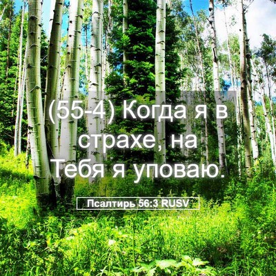 Picture 05 - Псалтирь 56:3 RUSV - (55-4) Когда я в страхе, на - Bible Verse Picture