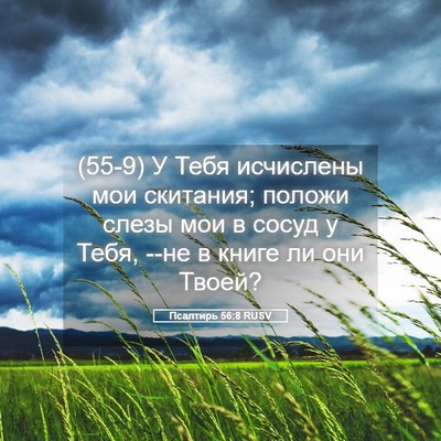 Picture 05 - Псалтирь 56:8 RUSV - (55-9) У Тебя исчислены мои - Bible Verse Picture